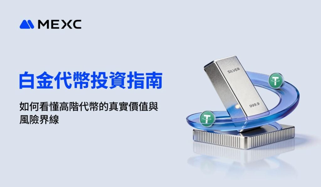 白金代幣投資指南：如何看懂高階代幣的真實價值與風險界線
