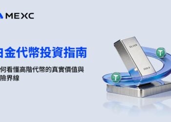 白金代幣投資指南：如何看懂高階代幣的真實價值與風險界線