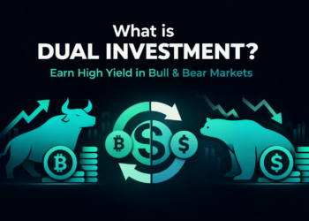 什麼是雙幣投資：在牛市與熊市中賺取高收益