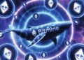 Bitmine 再質押 7.56 萬枚以太坊！ETH 總持倉逼近 500 萬枚，狂掃全網 4.12% 供應量