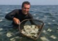 AI狂飆泡沫化，分析師解釋「如果真想的話，該如何做空」