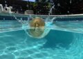 貝格先生分析》極端估值的共振：BTC 長期持有者成本逼近 4.97 萬，三大模型靠攏