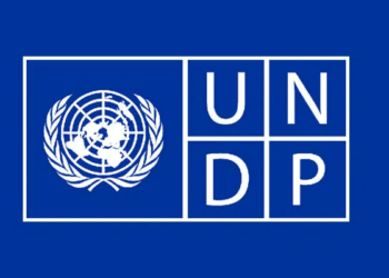 聯合國開發計畫署（UNDP）成立區塊鏈諮詢小組 BAG，攜手 26 大機構推動 Web3 公益