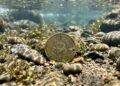 貝格先生分析》BTC 長期、短期持有者成本逆轉訊號，數據上怎麼推算