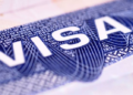 Visa 宣布推出全新穩定幣平台！無縫整合 OUSD、USDC，逾 2 億商家迎即時結算