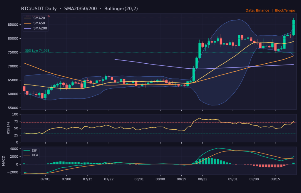 BTC/USDT 日線技術分析(SMA/布林/RSI/MACD)|Binance
