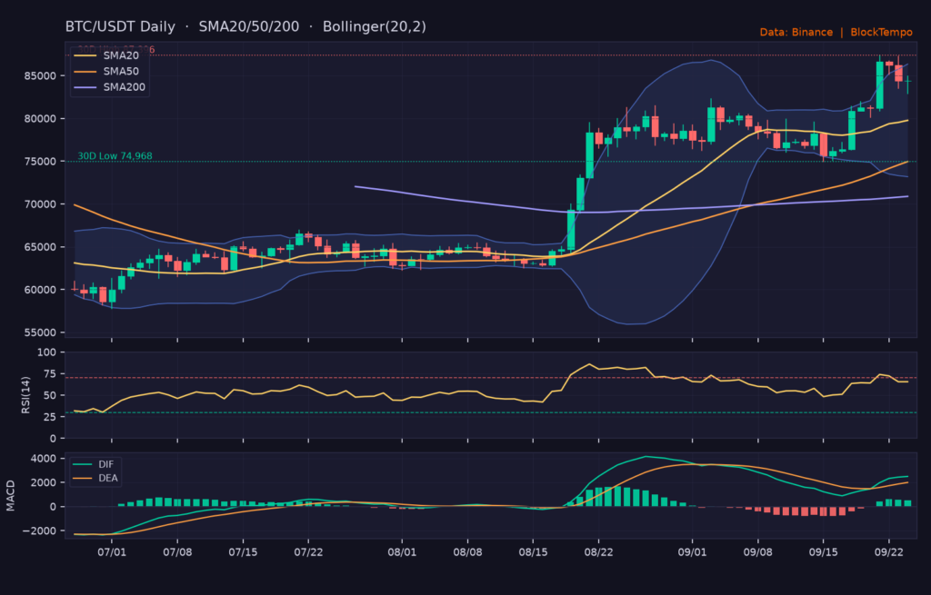 BTC/USDT 日線技術分析(SMA/布林/RSI/MACD)|Binance
