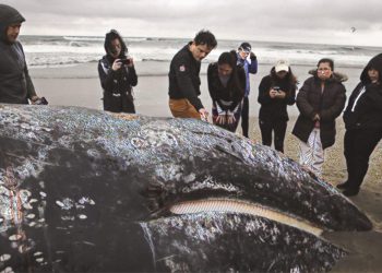從高調炫富到發帖求助，一位比特幣大戶的噩夢時刻