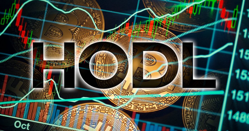 HODL？已遺失？研究數據: 超過1000萬比特幣 (864 億美元) 長達一年沒移動過！