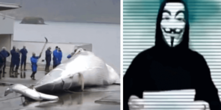 Iceland Kills Whales, So Anonymous Hackers Shut Down Its Government’s Websites | 動區動趨-最具影響力的區塊鏈新聞媒體 Iceland Kills Whales, So Anonymous Hackers Shut Down Its Government’s Websites