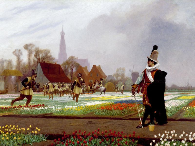 There Never Was a Real Tulip Fever