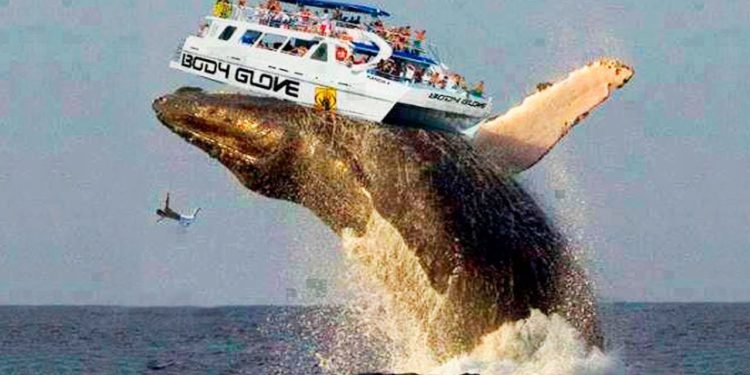 Ripple 瑞波幣 XRP